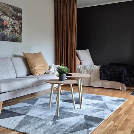 Apartman Teientoppen *